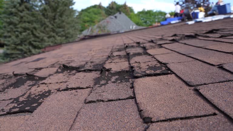 Best Roof Moss and Algae Removal  in Lakeland Village, CA
